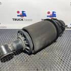 2493164 Пневмоподушка кабины задняя для Полуприцепы