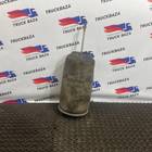 21978494 Подушка пневмоподвески задняя для Renault T