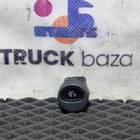 504096698 Кнопка освещения за кабиной для Iveco Stralis II Hi-Way (с 2012)