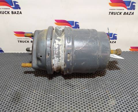 1686001 Энергоаккумулятор тормозной для Daf CF