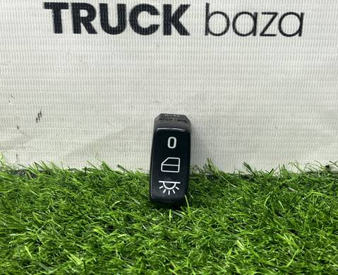 1733419 Кнопка освещения для Scania 5-series T (с 2004 по 2016)