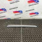 1931158 Накладка двери левая для Daf XF106 (с 2012)