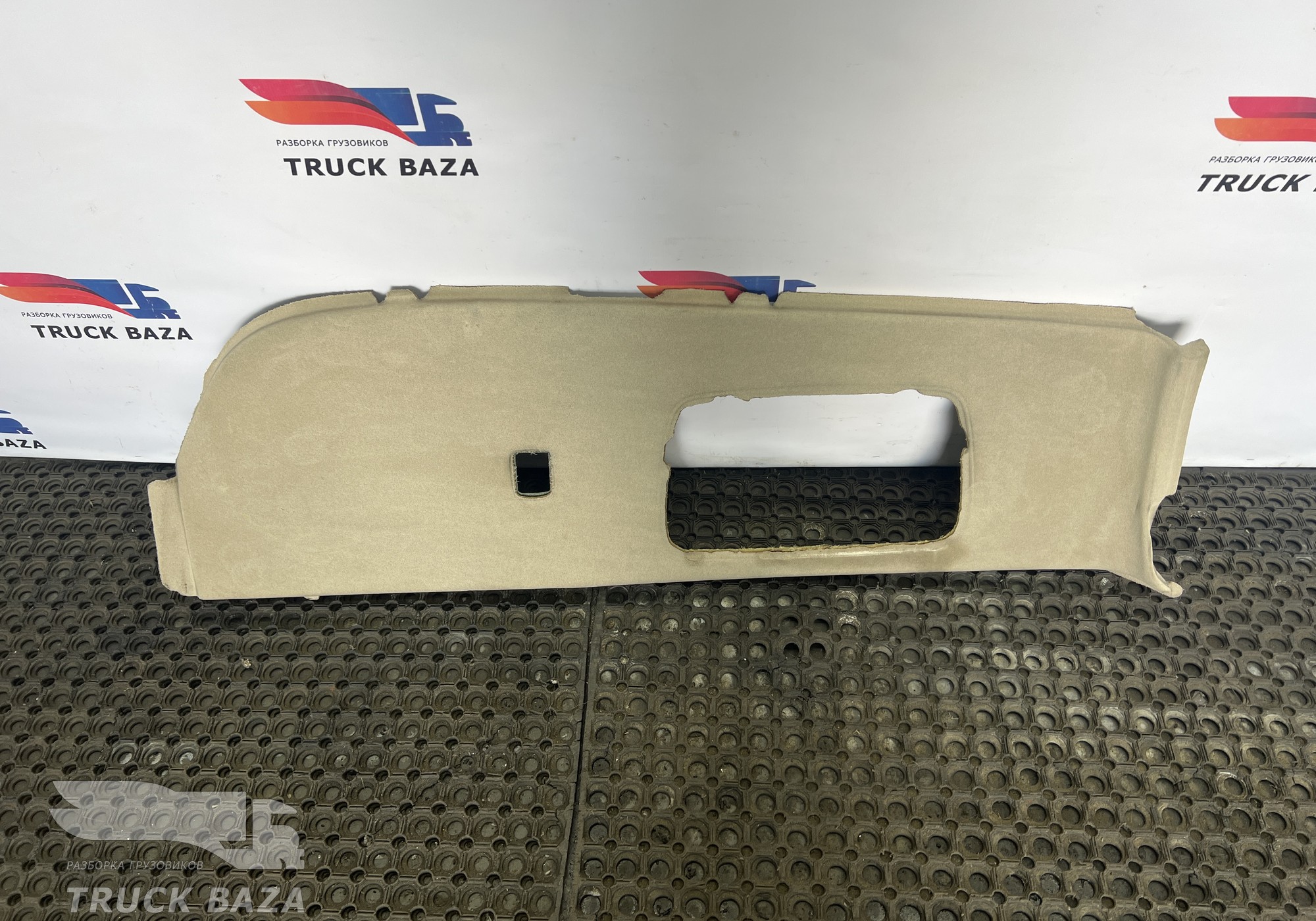 1866399 Обшивка потолка левая