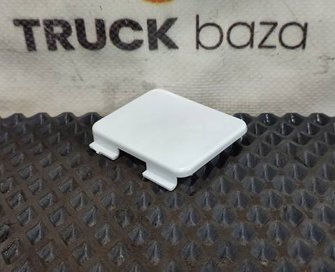 8715332 Заглушка бампера для Daf XF105