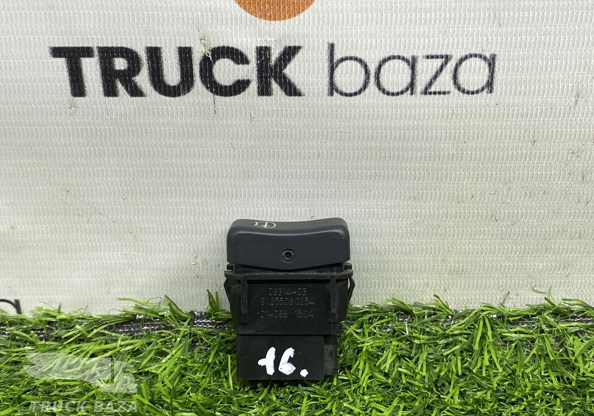 81255030254 Кнопка солнцезащитной шторки для Man TGA (с 2000 по 2007)