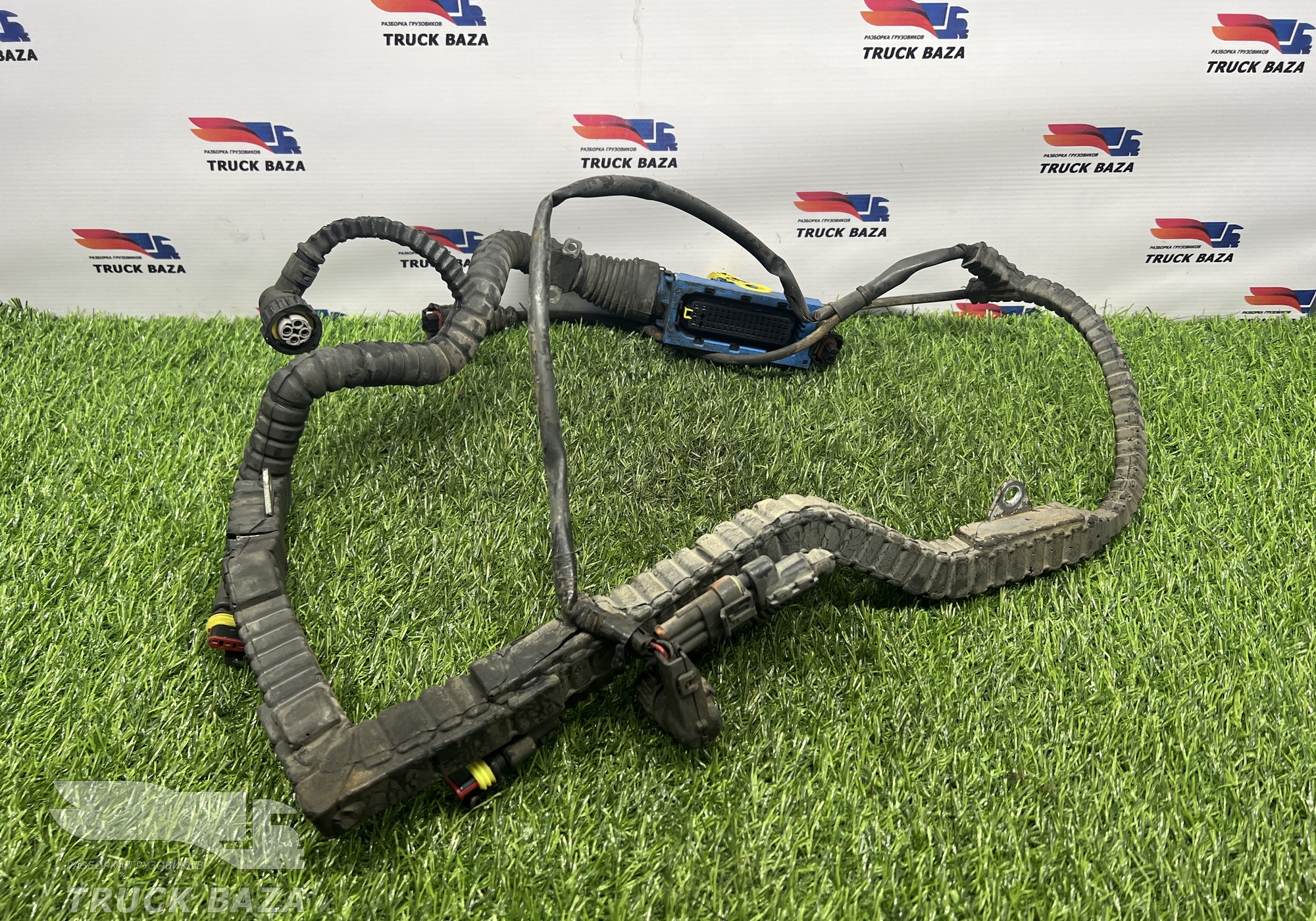 1895067 Проводка двигателя