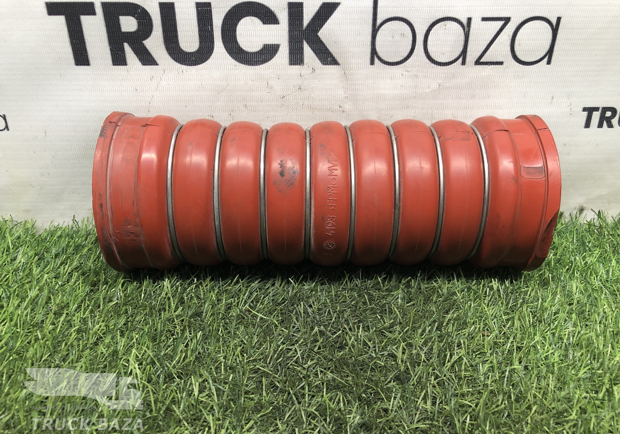 81963010900 Патрубок интеркулера для Man