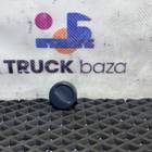 504000760 Заглушка кнопки для Iveco Stralis II Hi-Way (с 2012)