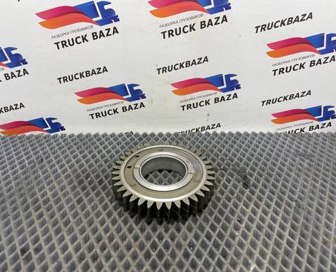 50311606132 Шестерня ГРМ для Man TGX TG3 (с 2020)