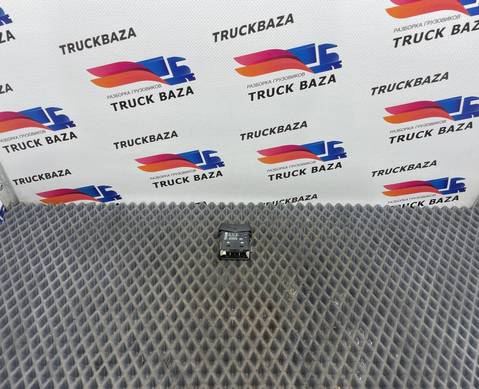 1733418 Кнопка внутреннего освещения для Scania 5-series R (с 2004 по 2016)