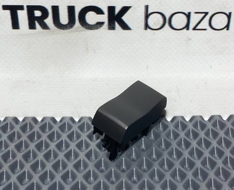 2258466 Заглушка кнопки для Scania 6-series R (с 2016)