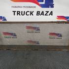 1313442 Сетка радиатора для Daf XF95 (с 2002 по 2006)