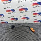 81254595612 Электропроводка для Man TGX II (с 2012)