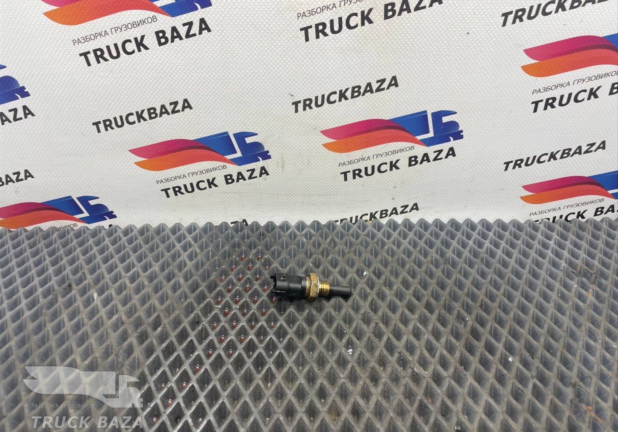 0281002209 Датчик температуры охлаждающей жидкости для Ford F-MAX (с 2018)