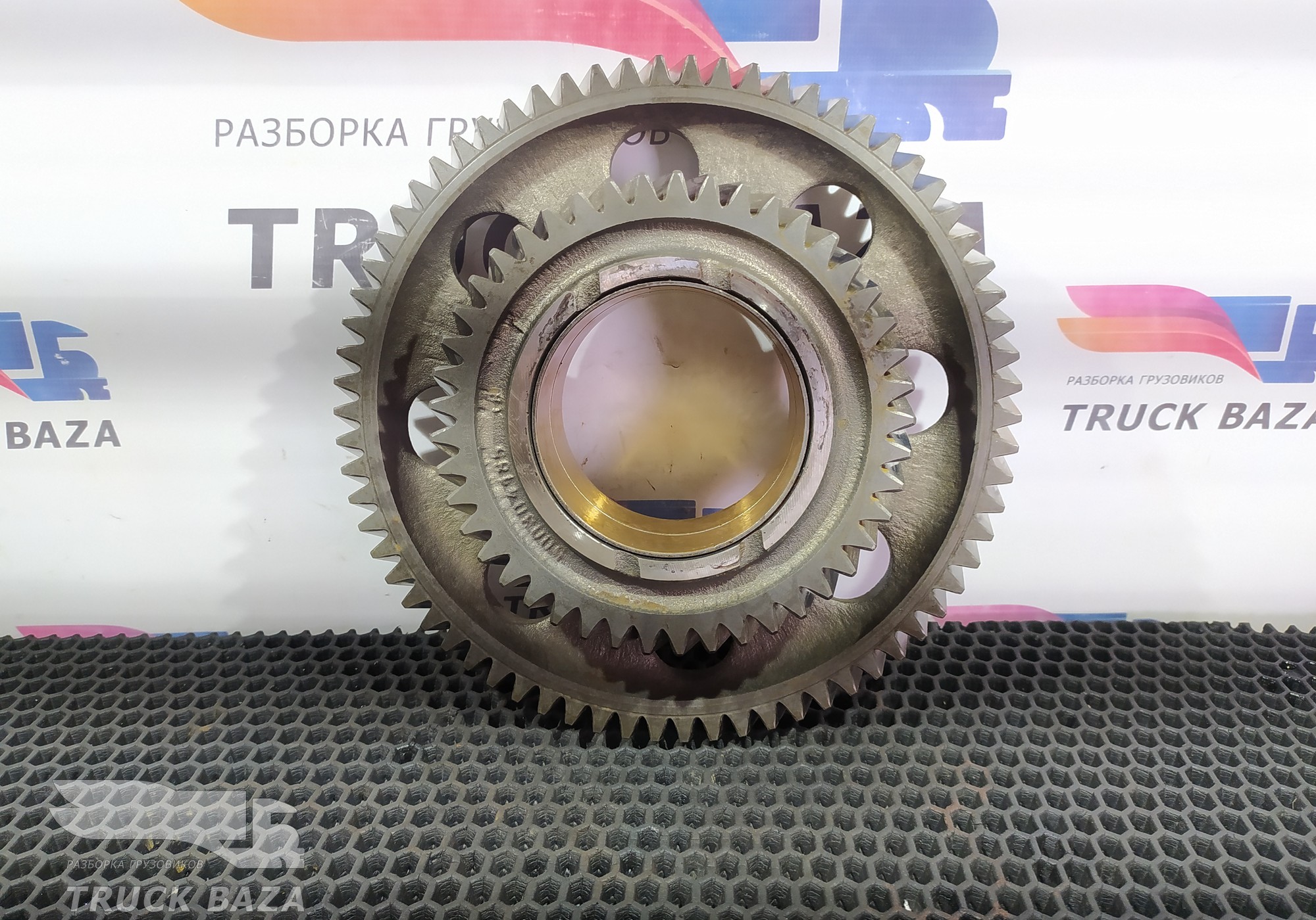 500304185 Шестерня ГРМ промежуточная для Iveco EuroTech