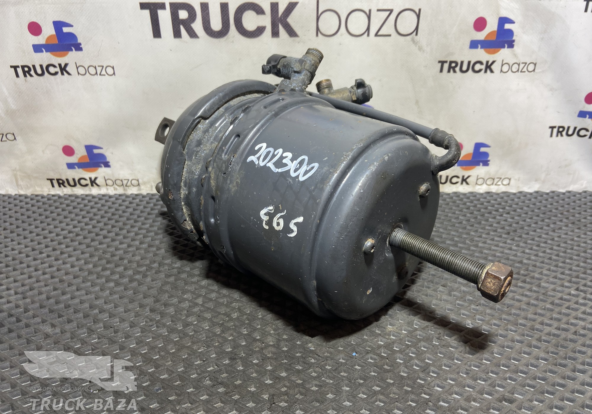 2147775 Энергоаккумулятор задний