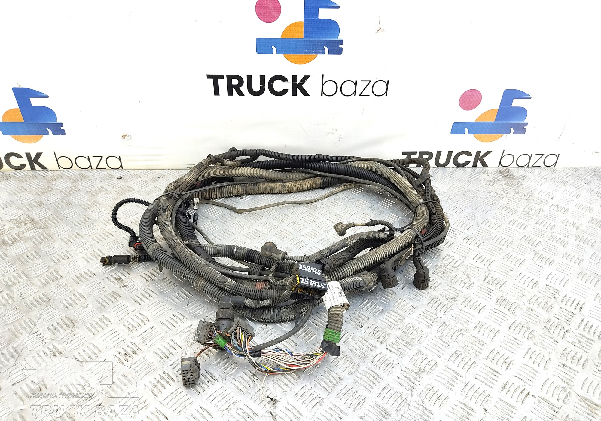 5490372474031 Проводка двигателя для КАМАЗ 5490 (с 2013)