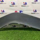 1431931 Накладка крыла передняя левая для Daf CF I (с 2000 по 2006)