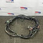 Жгут проводов мультиплексного узла для КАМАЗ 54901