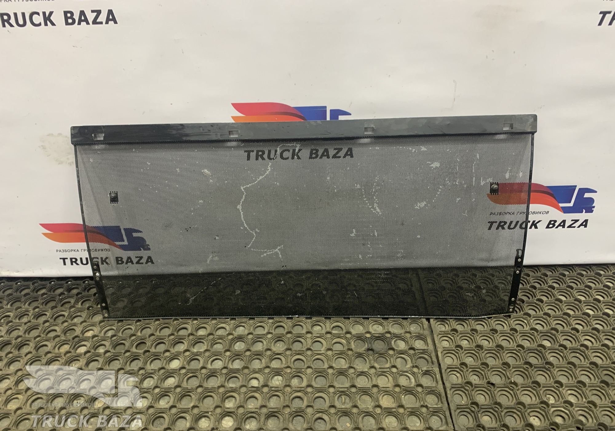 81062010100 Сетка радиатора москитная