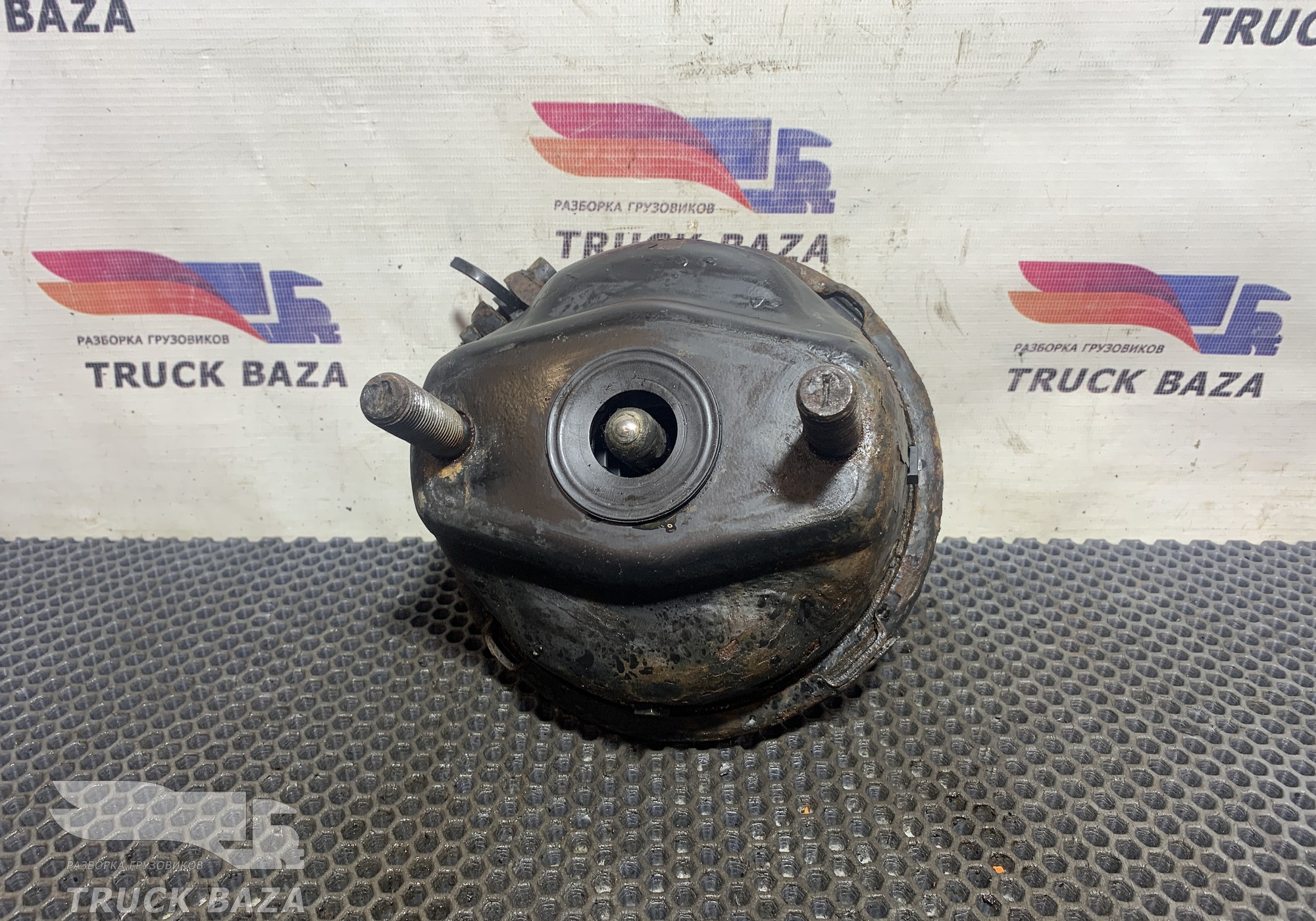 1542896 Камера тормозная передняя для Mercedes-Benz Actros