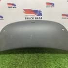 1728031 Накладка торпедо для Разные Грузовики