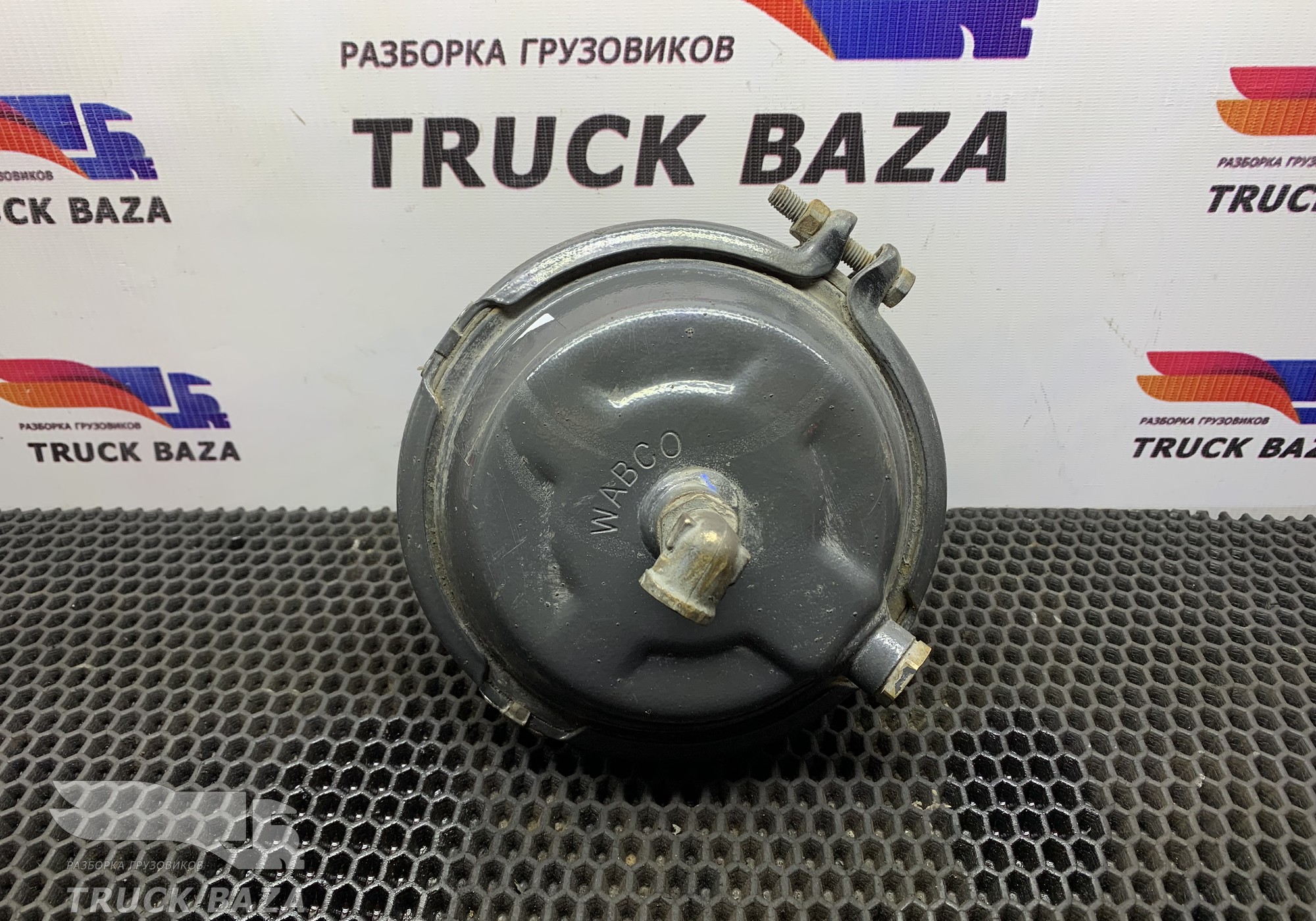 7420824261 Камера тормозная для Renault T