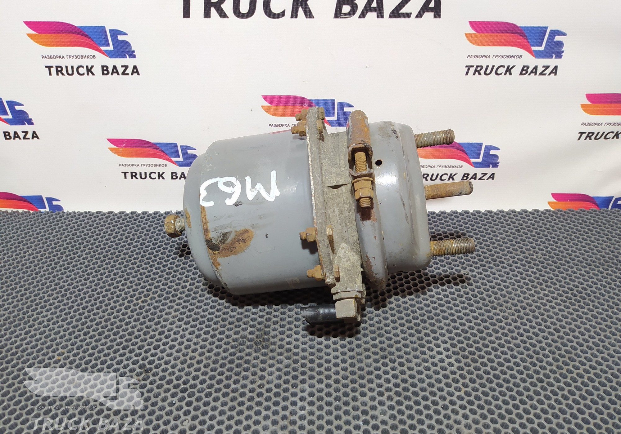 81504116015 Энергоаккумулятор тормозной для Man TGS II (с 2012)