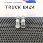 8162411 Комплект болтов ГУРа для Iveco Stralis I (с 2002)