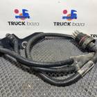 81254326212 Провод перекидной (розетка) для Полуприцепы Schmitz