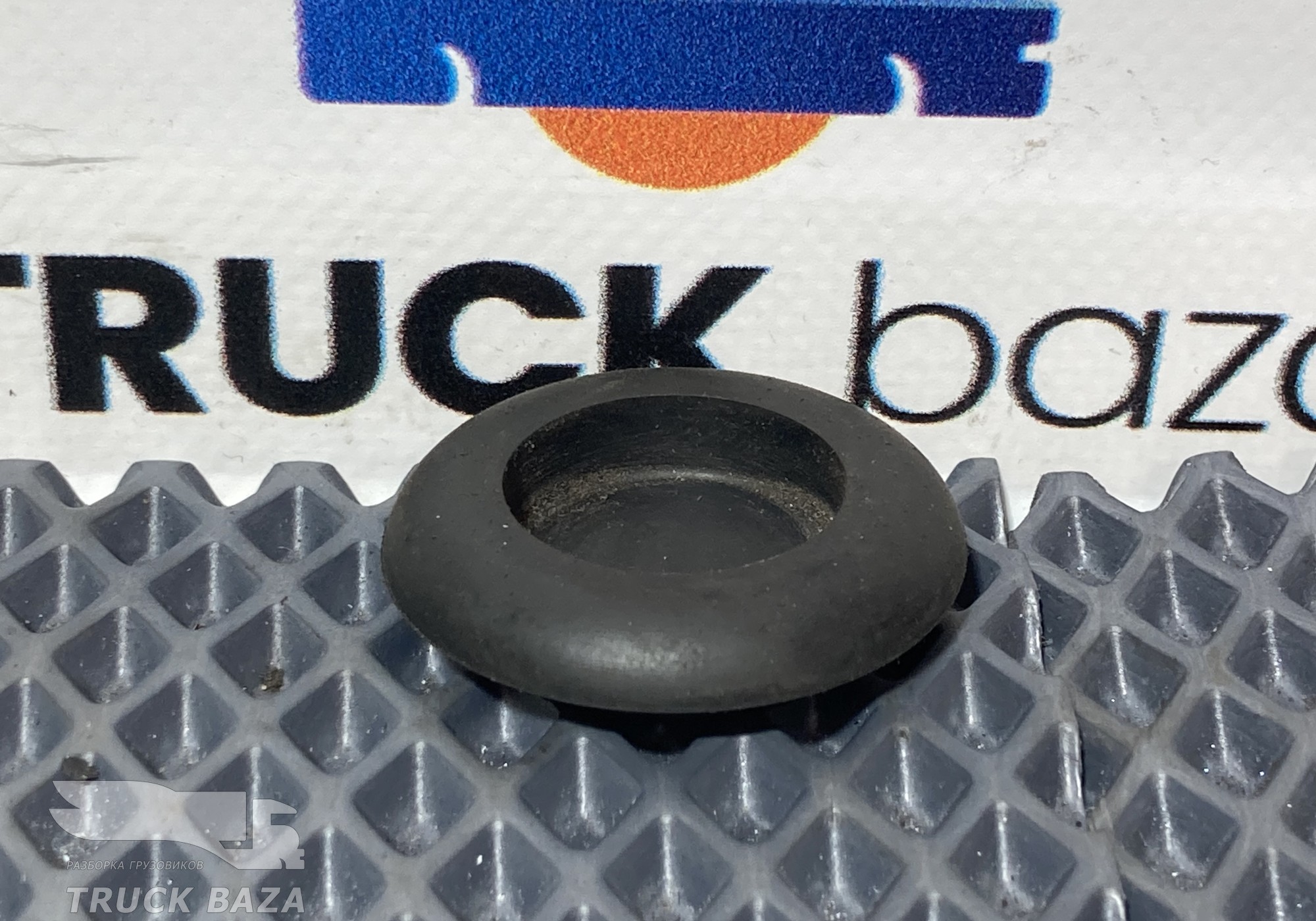 1825213 Заглушка двери для Scania 6-series R (с 2016)