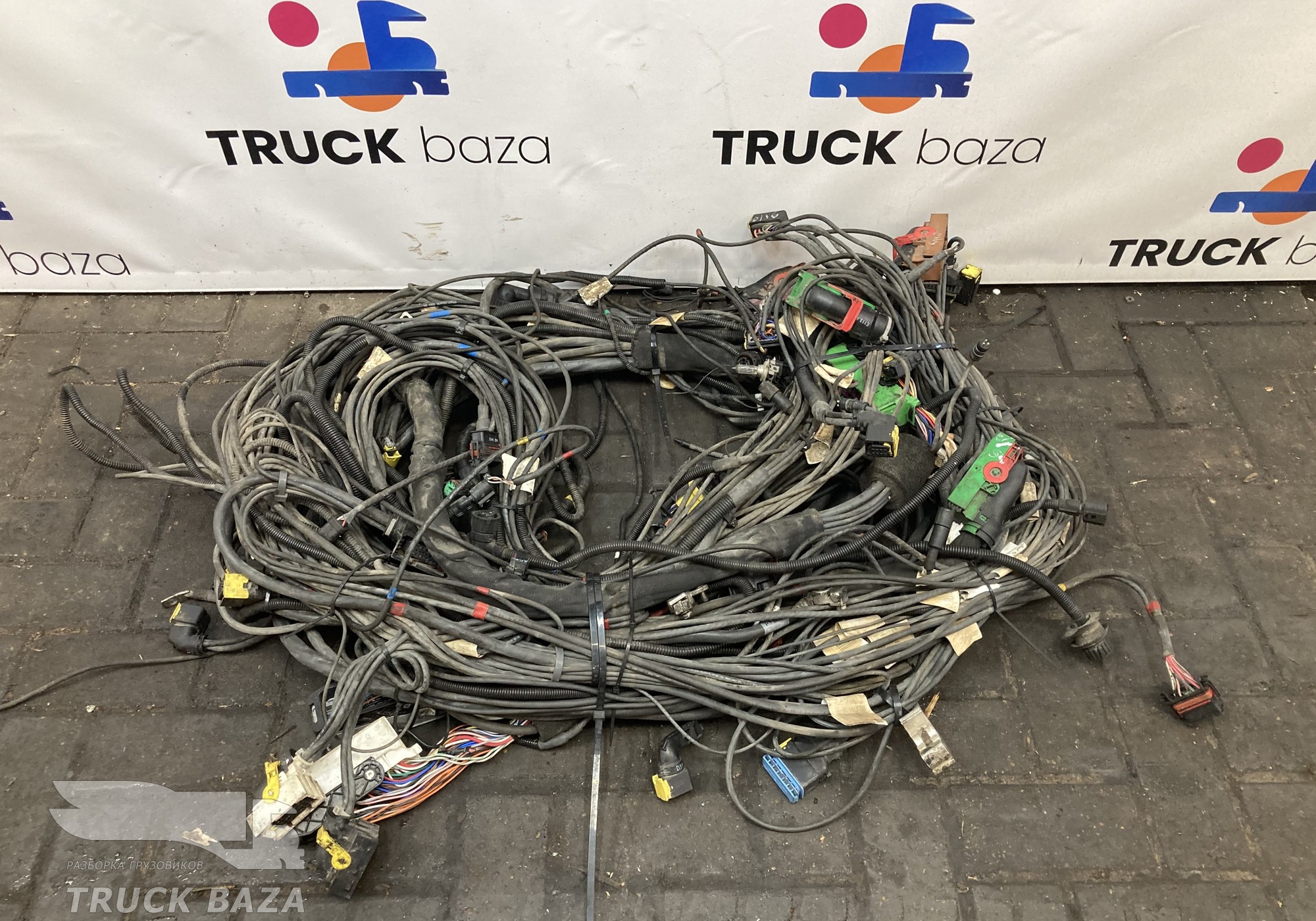 2425973 Проводка шасси основная