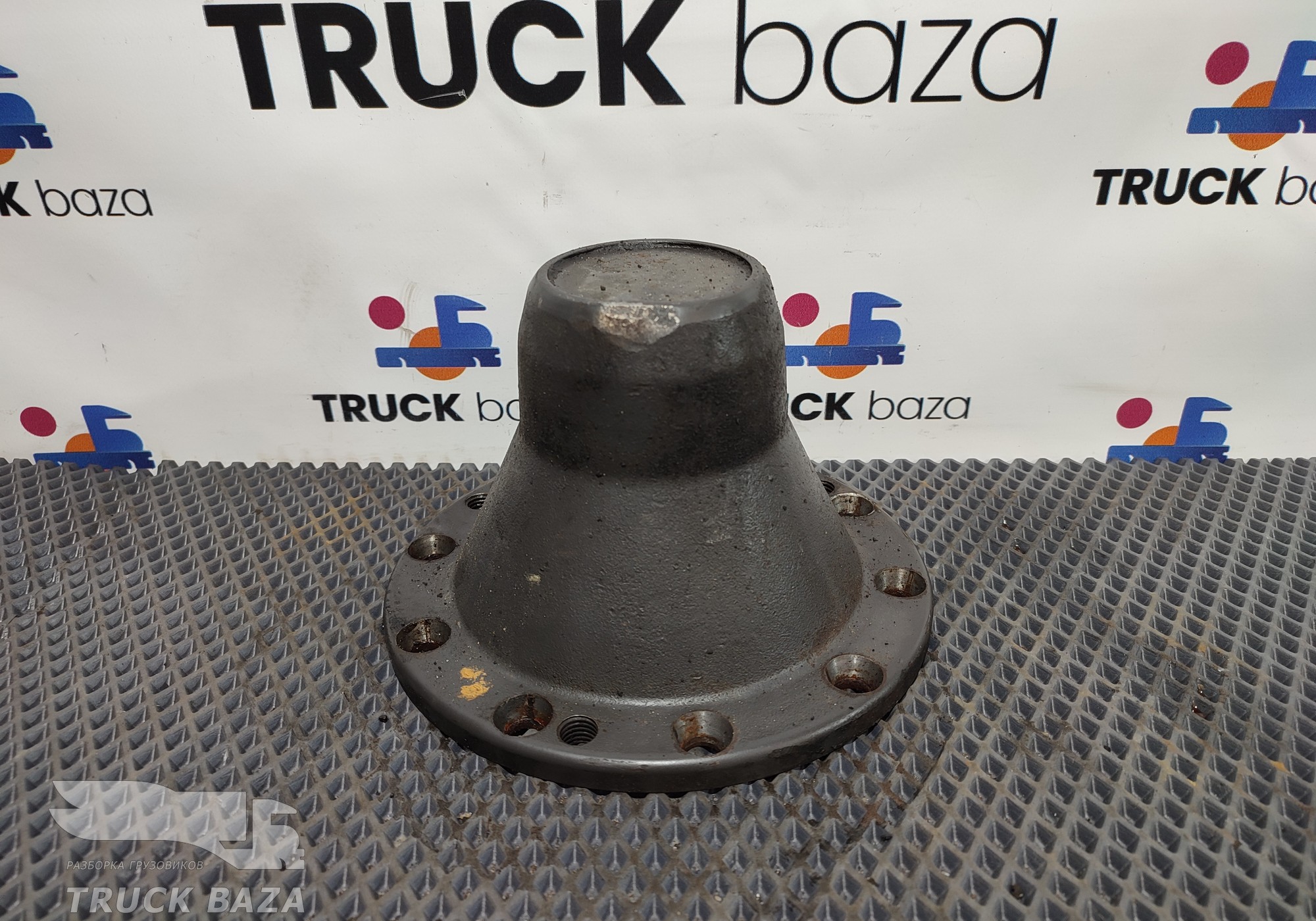 2437692 Крышка ступицы задней