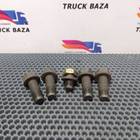 5010251246 Комплект болтов ГУРа для Renault Premium I (с 1996 по 2004)