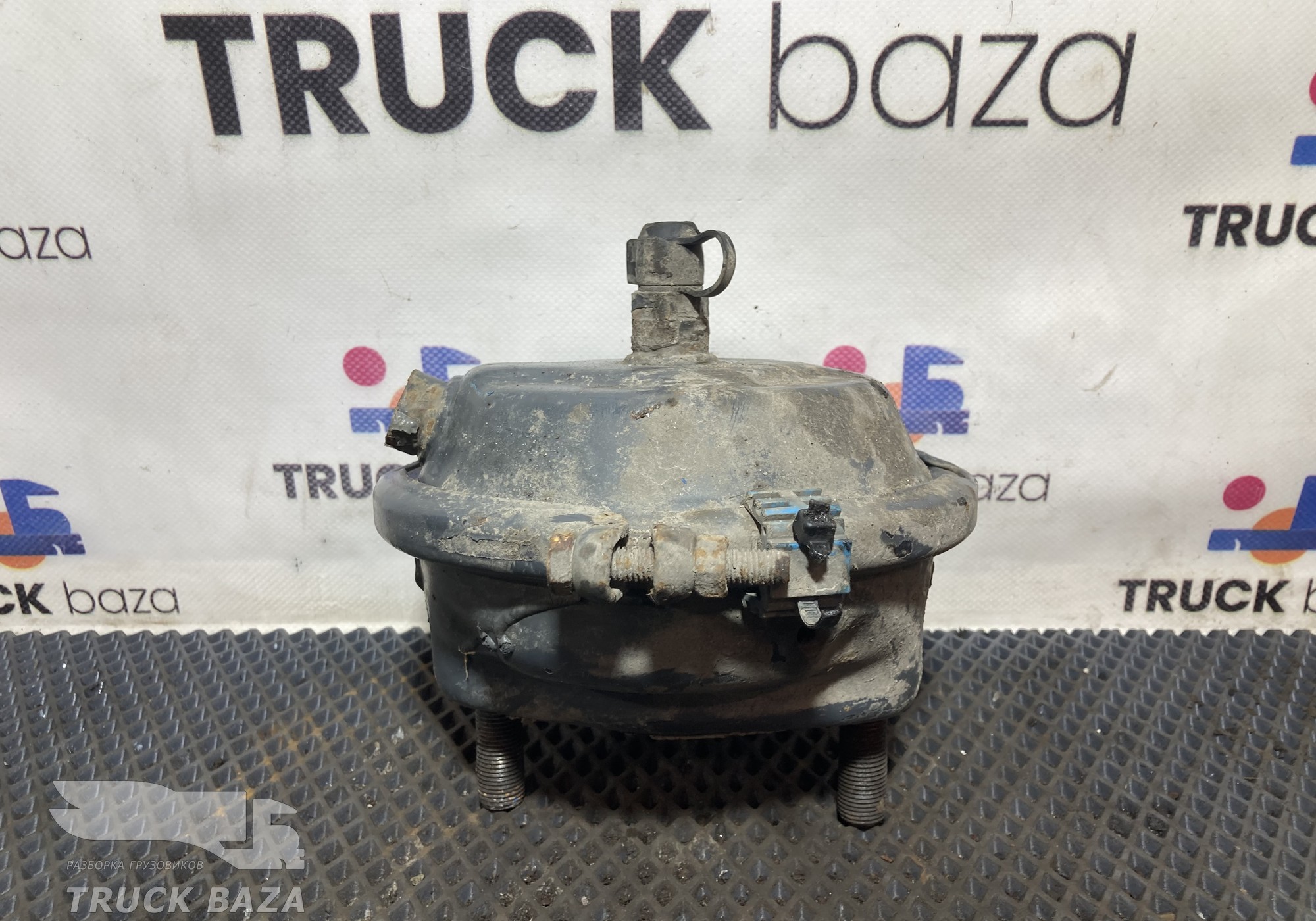 1791409 Камера тормозная передняя для Daf XF105 (с 2005)