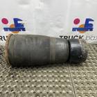 Подушка пневматическая задняя для Iveco