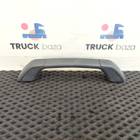 81629305173 Ручка внутренняя потолочная