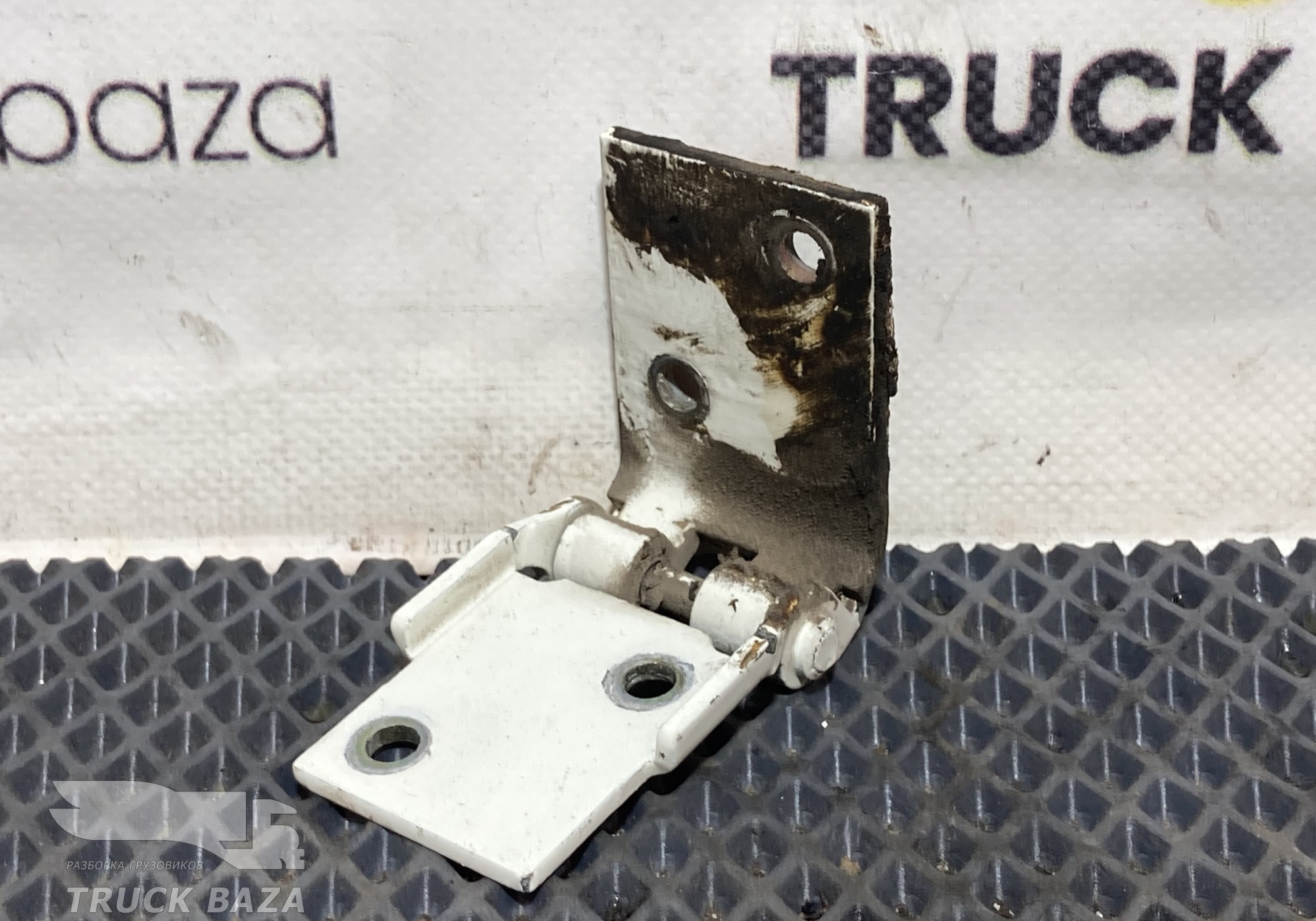 0673439 Петля инструментального ящика для Daf XF105 (с 2005)