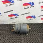 0194205518 Энергоаккумулятор тормозной для Mercedes-Benz Actros MP3 (с 2008)