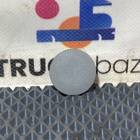 9736920158 Заглушка накладки стойки для ГАЗ 3309