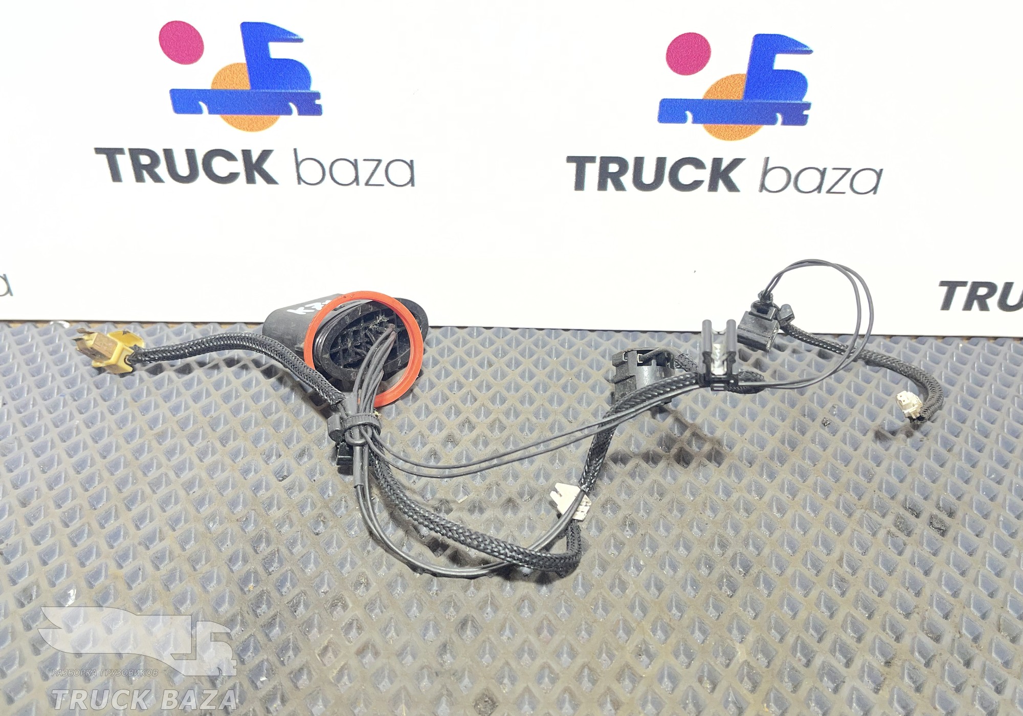 161571 Электропроводка ПТФ для КАМАЗ 5490 (с 2013)