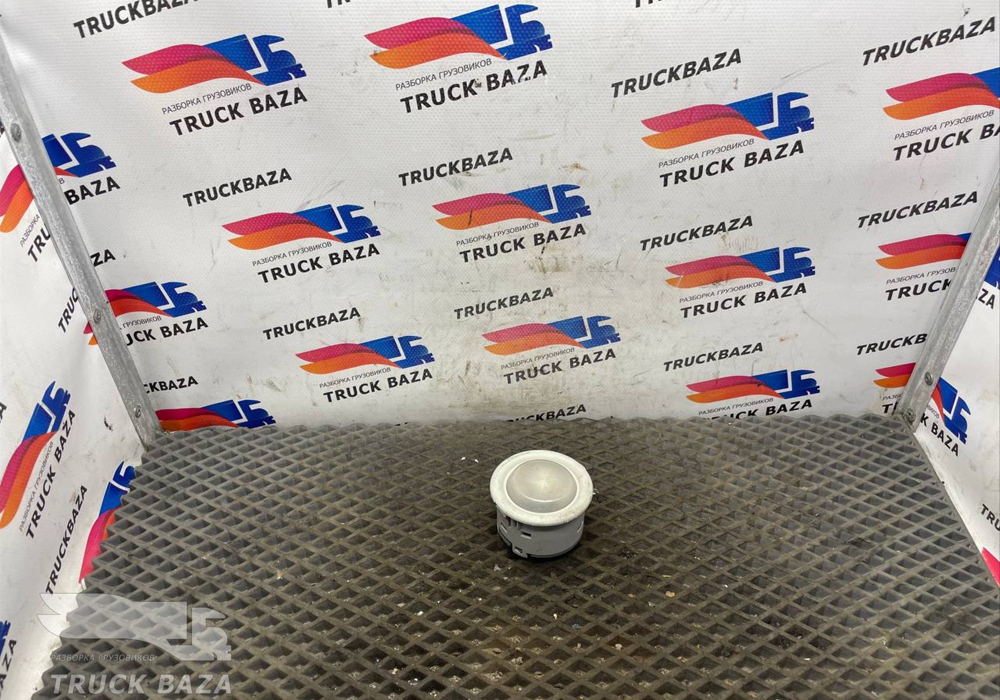 41221043 Плафон салонный для Iveco Stralis I (с 2002)