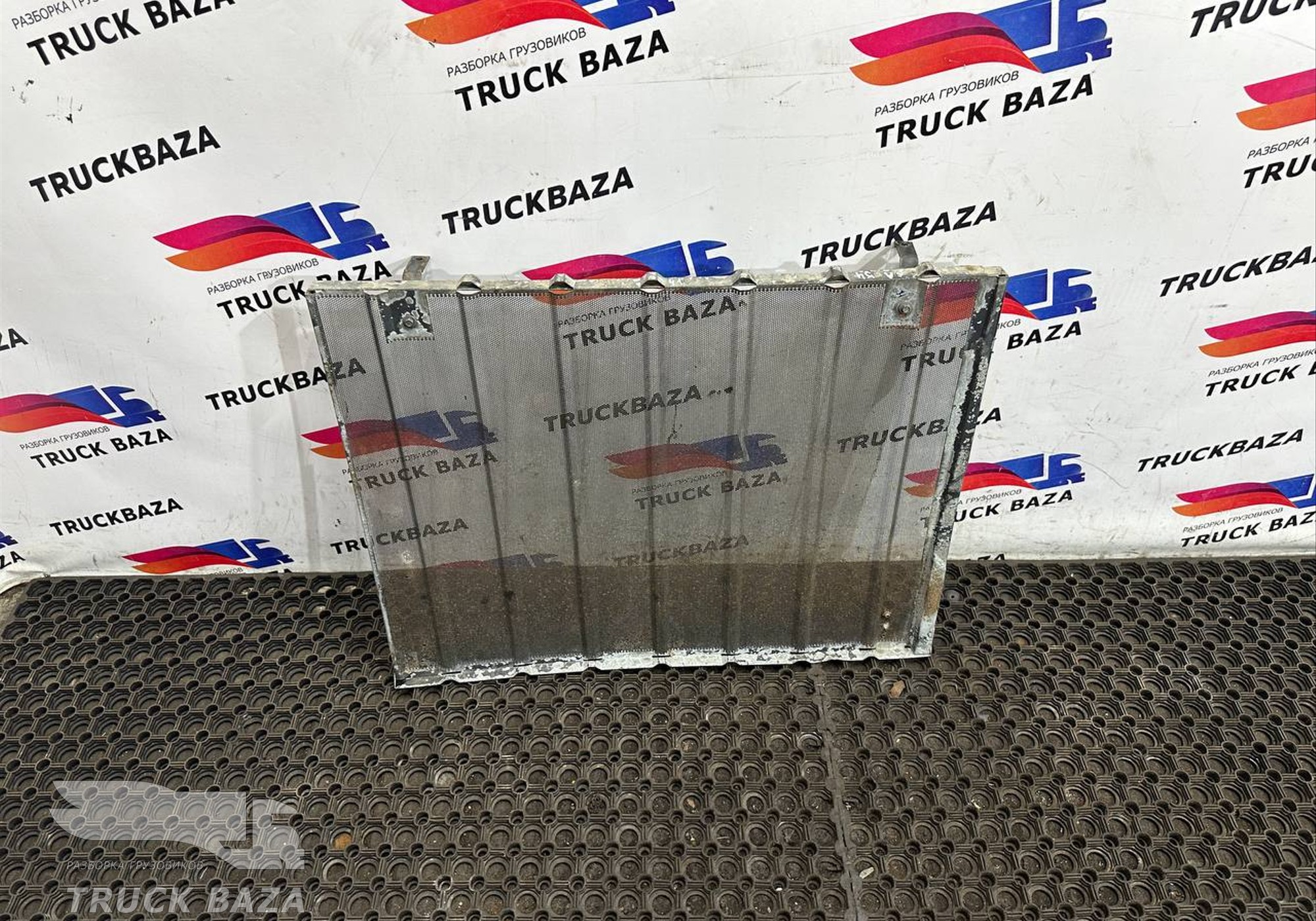 9305000217 Противомоскитная сетка для Mercedes-Benz Actros MP3 (с 2008)