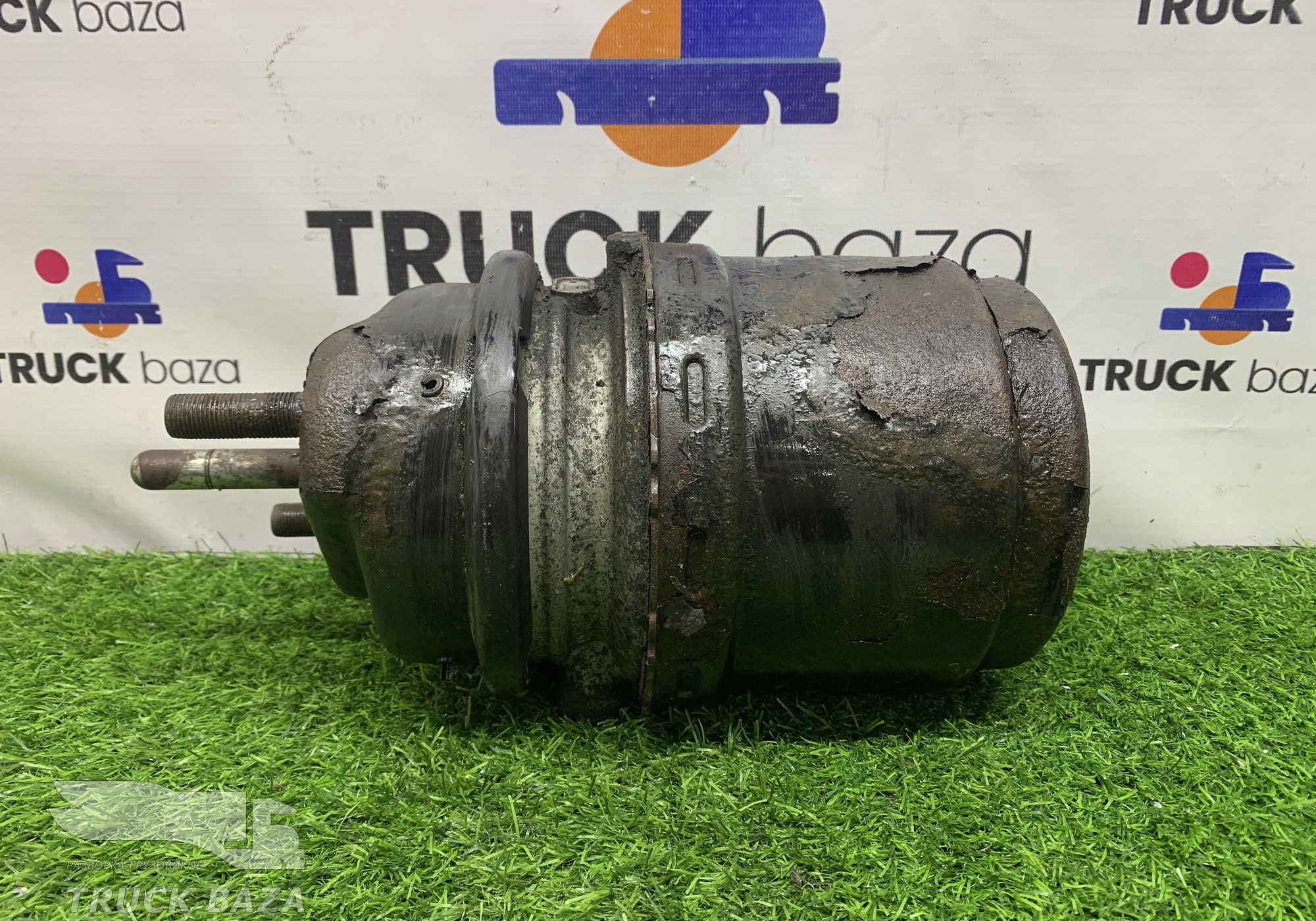 02062024402 Энергоаккумулятор тормозной задний