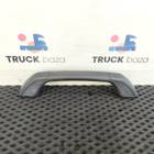 81629305176 Ручка внутренняя потолочная для Man TGX