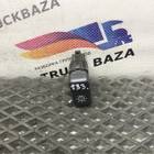 81255030255 Кнопка освещения для Man TGL