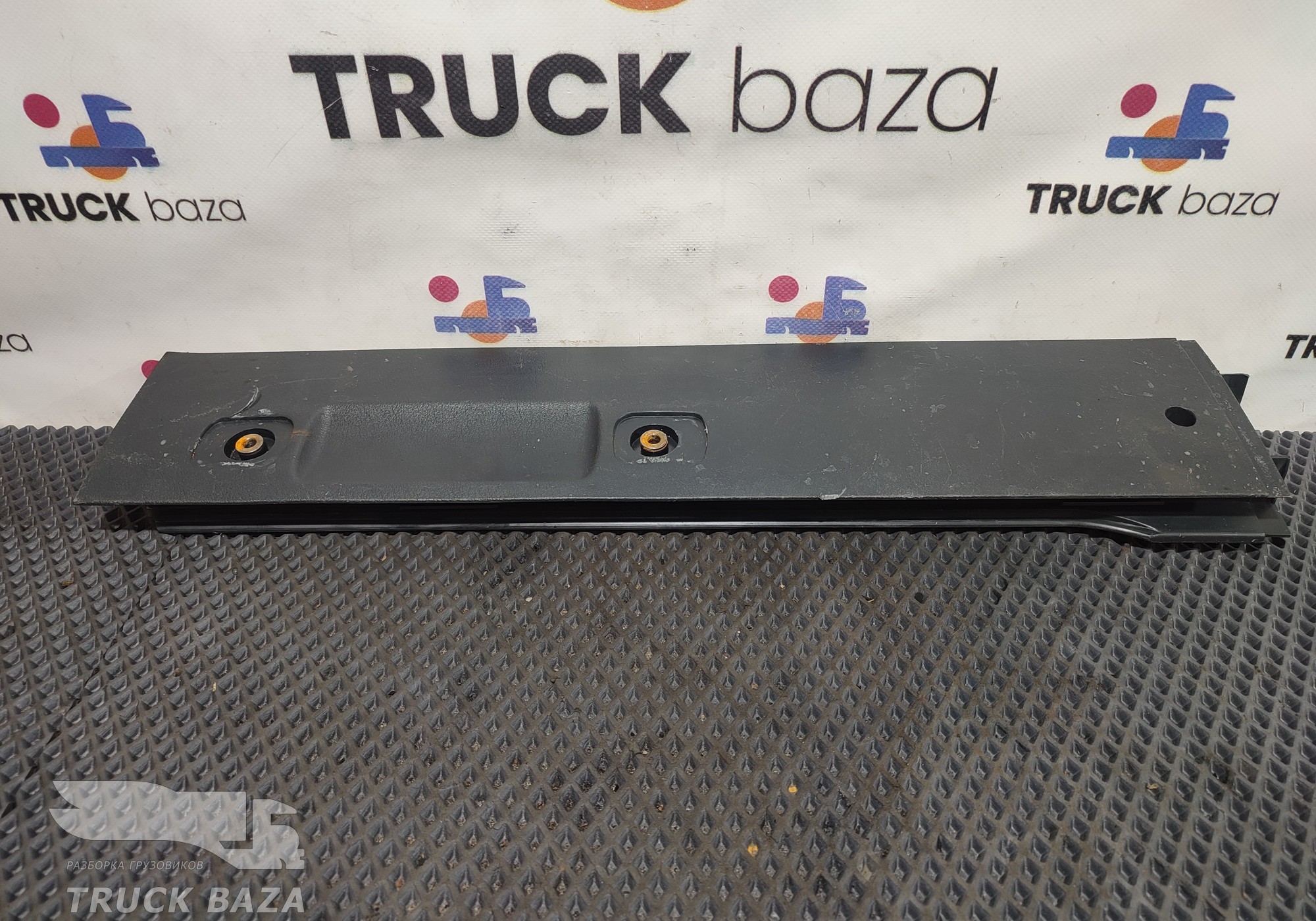 81629305170 Накладка потолка справа