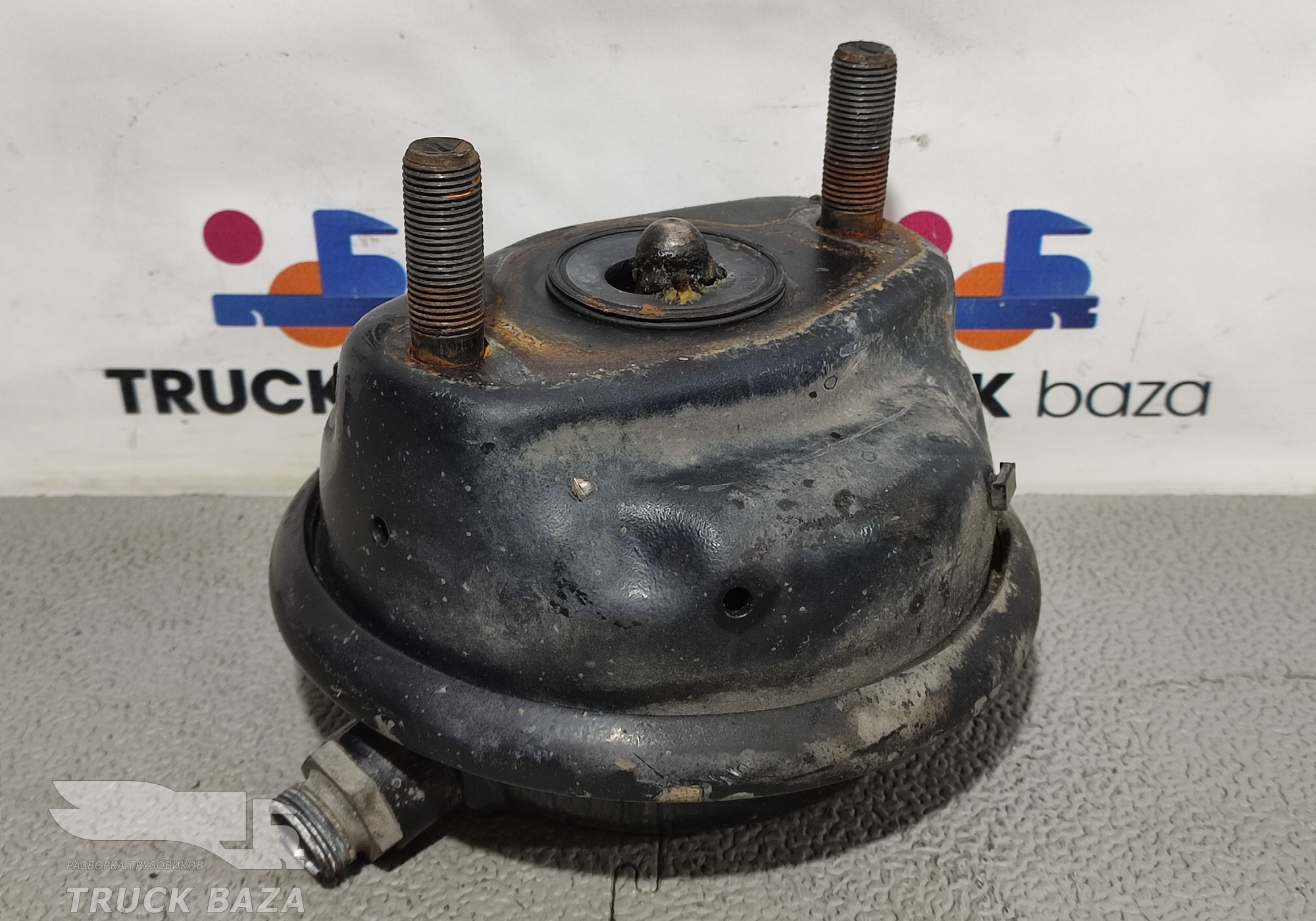 600301057 Камера тормозная для Man TGX TG3 (с 2020)