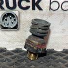 1673073 Датчик температуры для Daf XF105 (с 2006 по 2020)