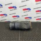 81436010152 Подушка пневматическая задняя для Man TGX TG3 (с 2020)